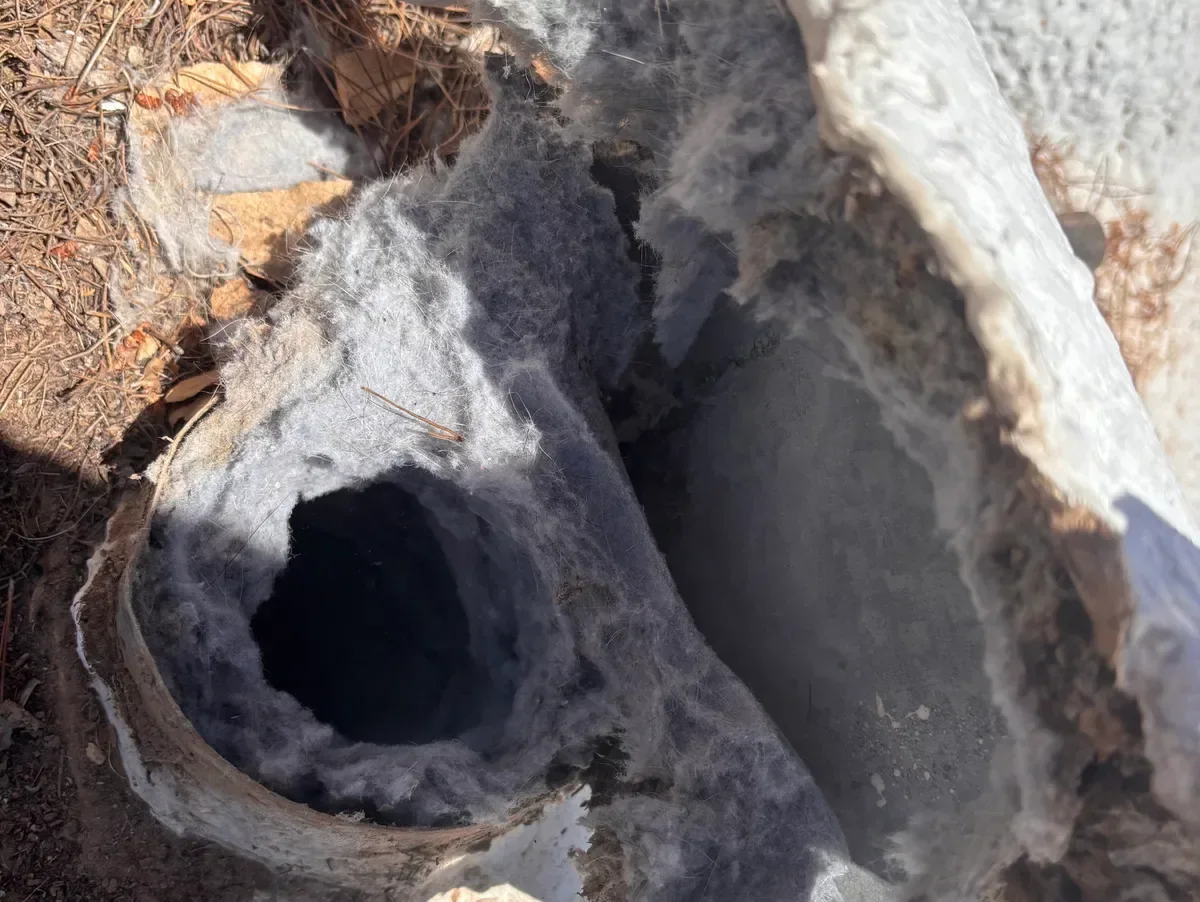 Dryer vent opening packed nearly shut with matted gray lint